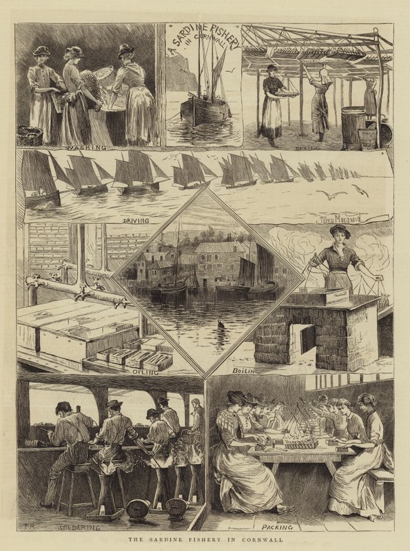 La pesca delle sardine in Cornovaglia da Percy Macquoid