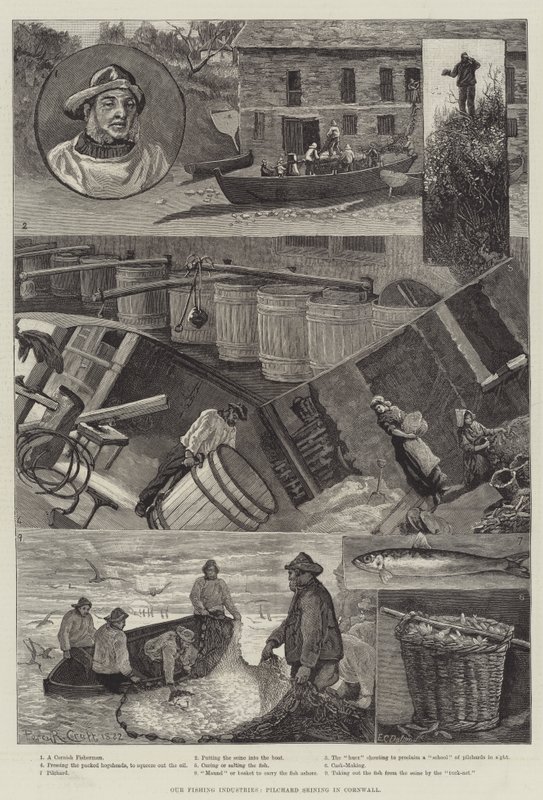 Le nostre industrie della pesca, la pesca delle sardine in Cornovaglia da Percy Robert Craft