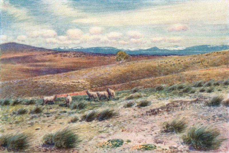 Montagne Nevose vicino al sito della Capitale Federale da Percy F.S. (after) Spence