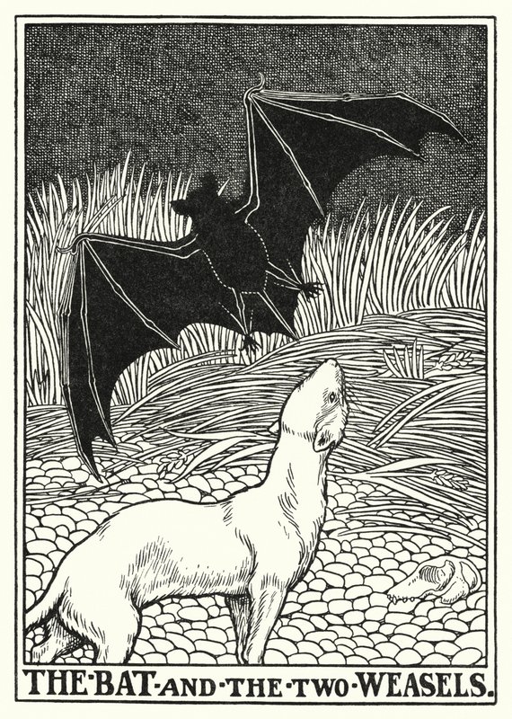 Favole di La Fontaine: Il pipistrello e le due donnole (litografia) da Percy James Billinghurst