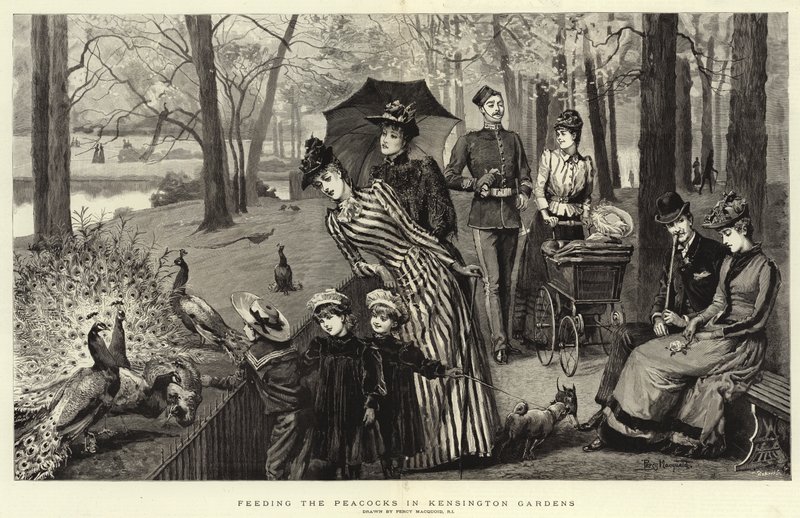 Nutrire i pavoni nei Kensington Gardens (incisione) da Percy Macquoid