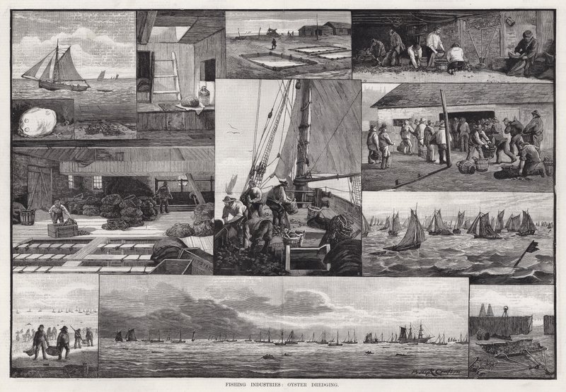 Industrie della pesca, dragaggio delle ostriche da Percy Robert Craft
