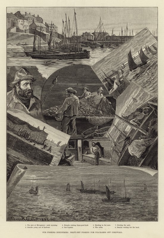 Le nostre industrie della pesca: pesca alla deriva per sardine al largo della Cornovaglia da Percy Robert Craft