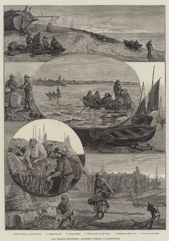 Le nostre industrie della pesca, pesca allo sgombro a Eastbourne (incisione) da Percy Robert Craft