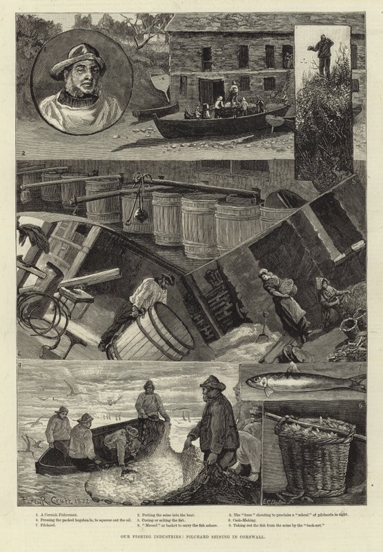Le nostre industrie della pesca: la pesca delle sardine in Cornovaglia da Percy Robert Craft