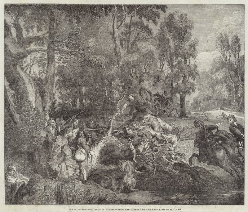 La caccia al cinghiale da Peter Paul Rubens