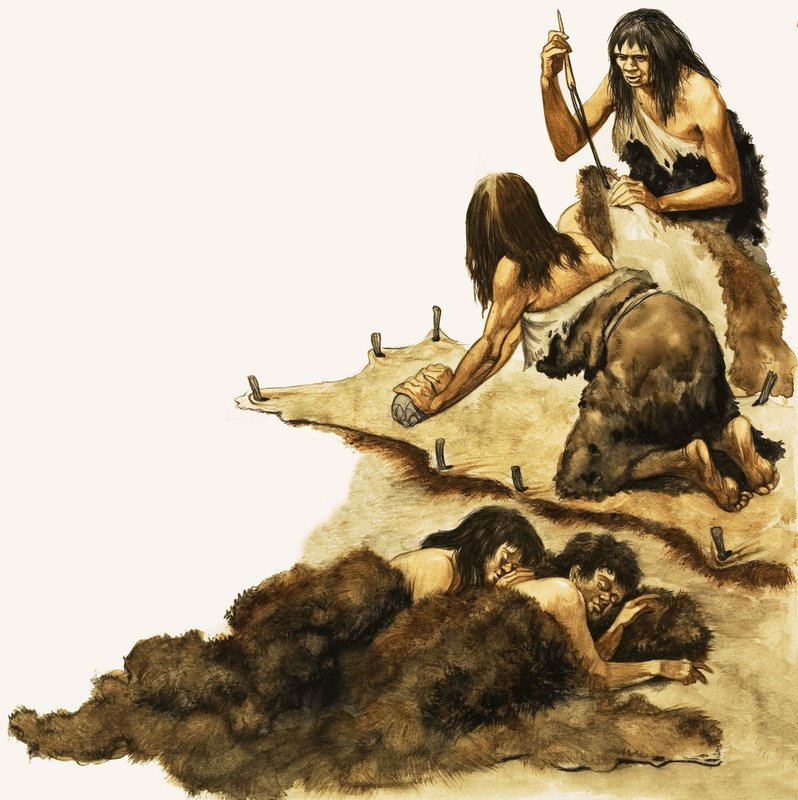 Una famiglia dell