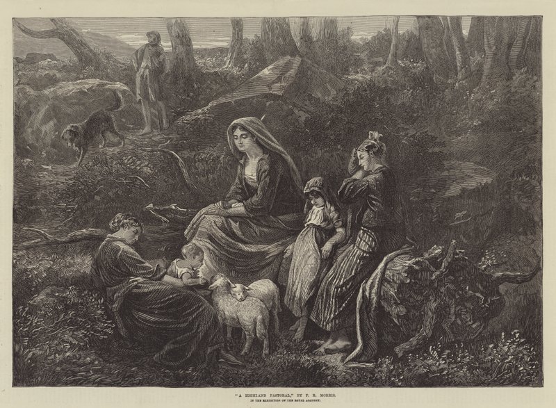 Un pastorale delle Highlands, nell