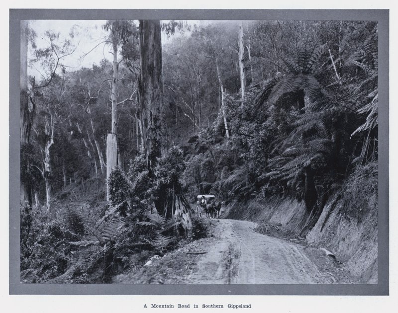 Una strada di montagna nel Gippsland meridionale da Photographer Australian