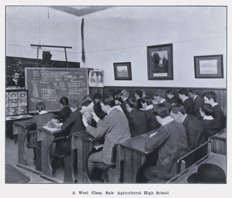 Una classe di lana, Scuola Agricola di Sale da Photographer Australian