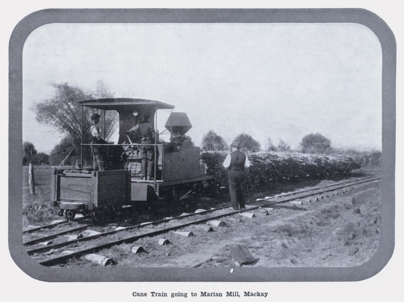 Treno della Canna che va al Mulino Marian, Mackay da Photographer Australian