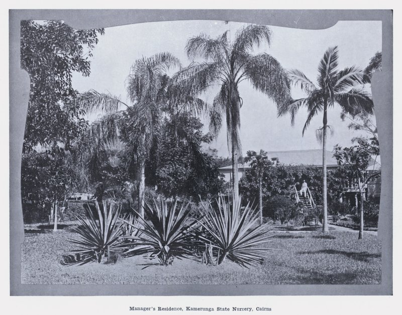 Residenza del direttore, Kamerunga State Nursery, Cairns da Photographer Australian