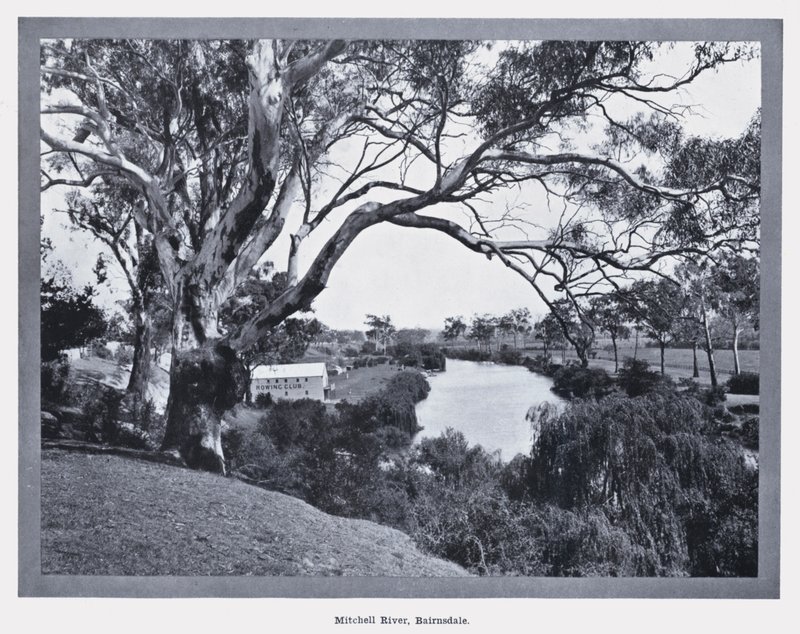 Fiume Mitchell, Bairnsdale da Photographer Australian