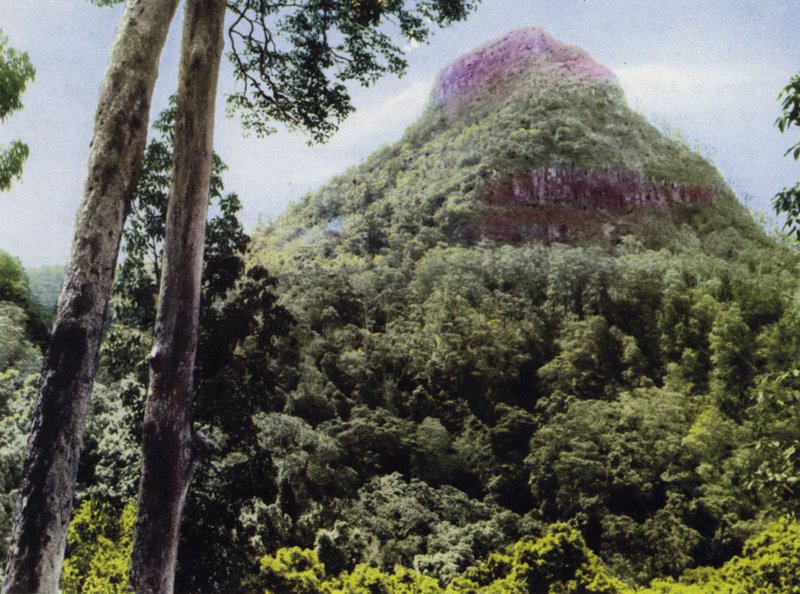 Queensland, Australia: Monte Cordeaux da Photographer Australian