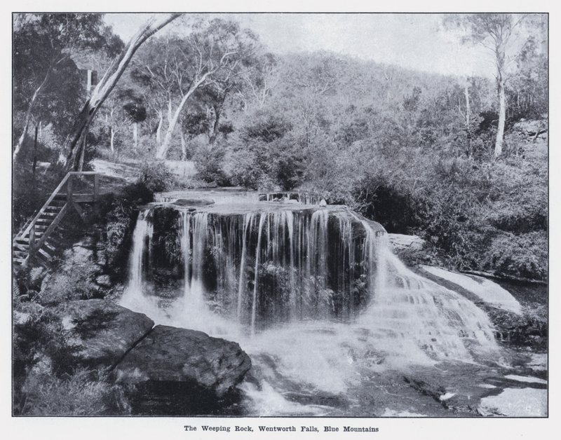La Roccia Piangente, Cascate di Wentworth, Montagne Blu da Photographer Australian