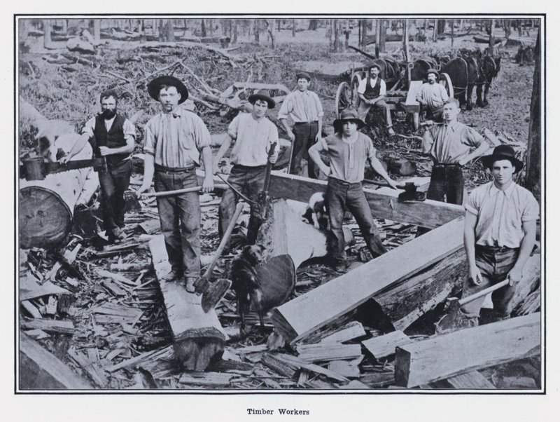 Lavoratori del Legno da Photographer Australian