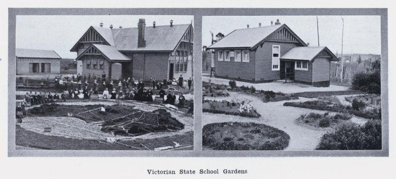 Giardini della Scuola Statale Vittoriana da Photographer Australian