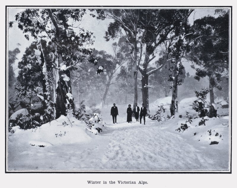 Inverno nelle Alpi Vittoriane da Photographer Australian