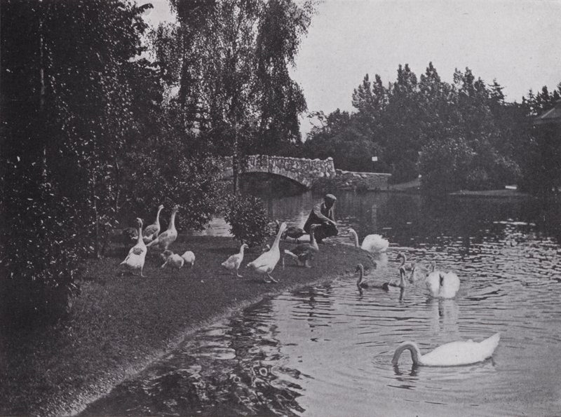 Lago, Beacon Hill Park, Victoria, Columbia Britannica da Photographer Canadian