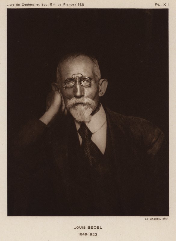 Ernest Marie Louis Bedel, entomologo francese da Photographer French