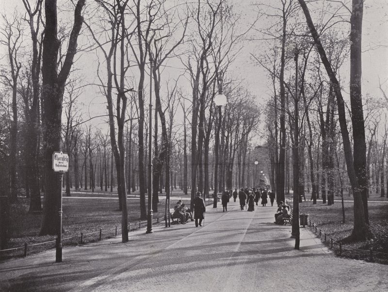 Nel Tiergarten, sentiero degli aceri da Photographer German