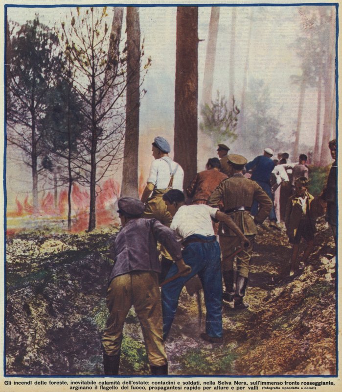 Contadini e soldati che combattono un incendio nella Foresta Nera, Germania da Photographer German