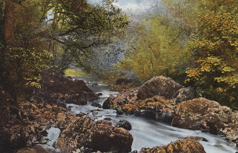 Irlanda: Nel Dargle, Contea di Wicklow da Photographer Irish