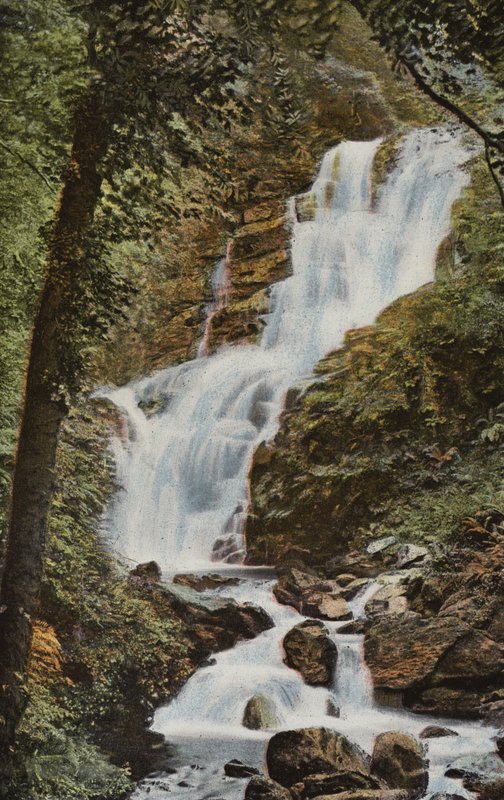 Irlanda del Sud: Cascata di Torc, Killarney da Photographer Irish