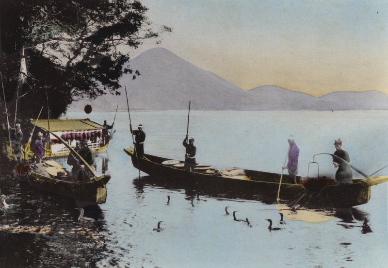 Giappone, c.1912: Pesca con un cormorano, Nagaragawa da Photographer Japanese