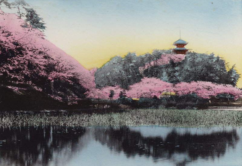 Giappone, c.1912: Sankeiyen, Giardino Privato del Sig. Hara, Honmoku, Yokohama da Photographer Japanese