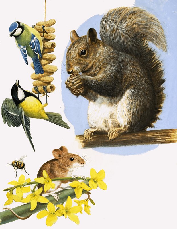 Piccoli animali vivaci, tra cui la Cinciarella, la Cinciallegra, il Bombo, il Topo di campagna e lo Scoiattolo grigio. da R.B. Davis