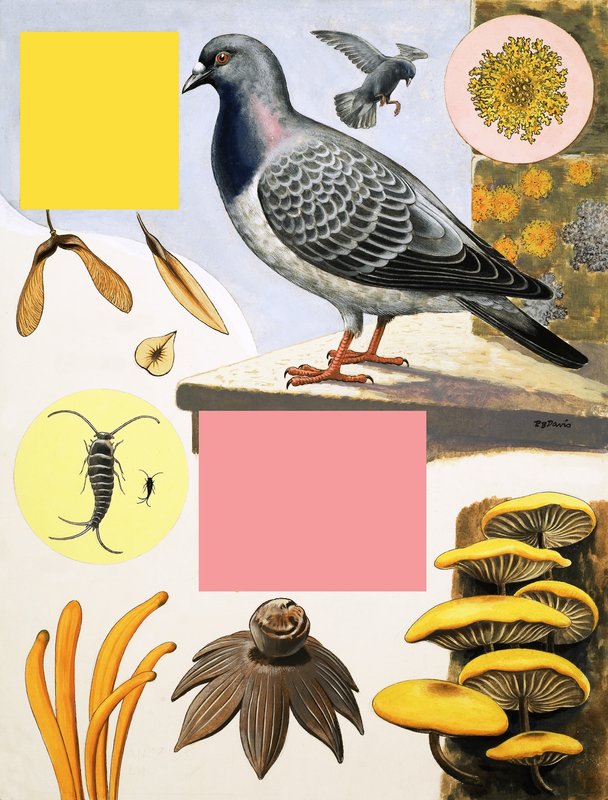 La campagna a dicembre da R.B. Davis