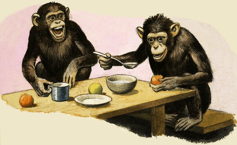 Z come Zoo. La festa del tè dello scimpanzé da R.B. Davis