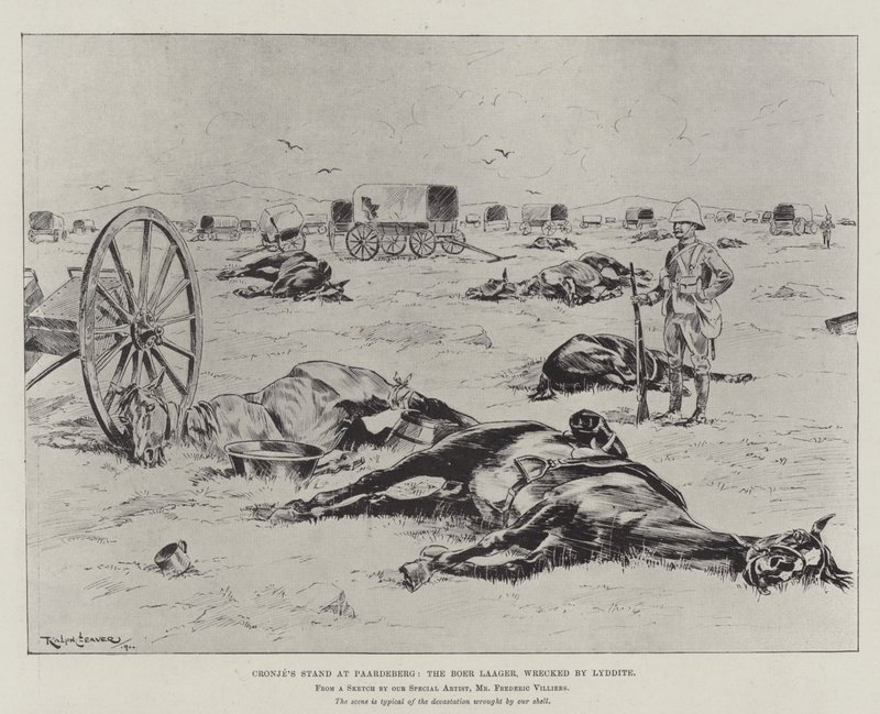 La resistenza di Cronje a Paardeberg, il campo boero distrutto dalla Lyddite da Ralph Cleaver