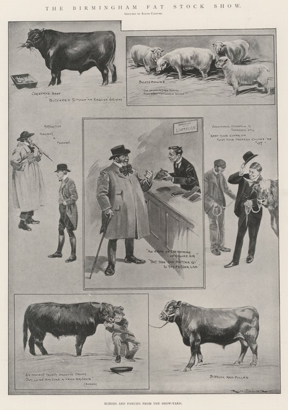 La mostra del bestiame grasso di Birmingham da Ralph Cleaver