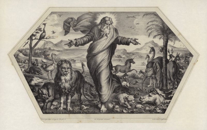 La Creazione degli Animali da Raffaello Sanzio Raphael