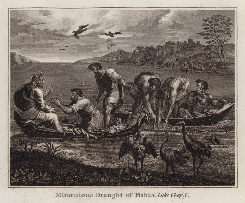 Cartone di Raffaello: La pesca miracolosa, Luca, Capitolo V (incisione) da after Raphael