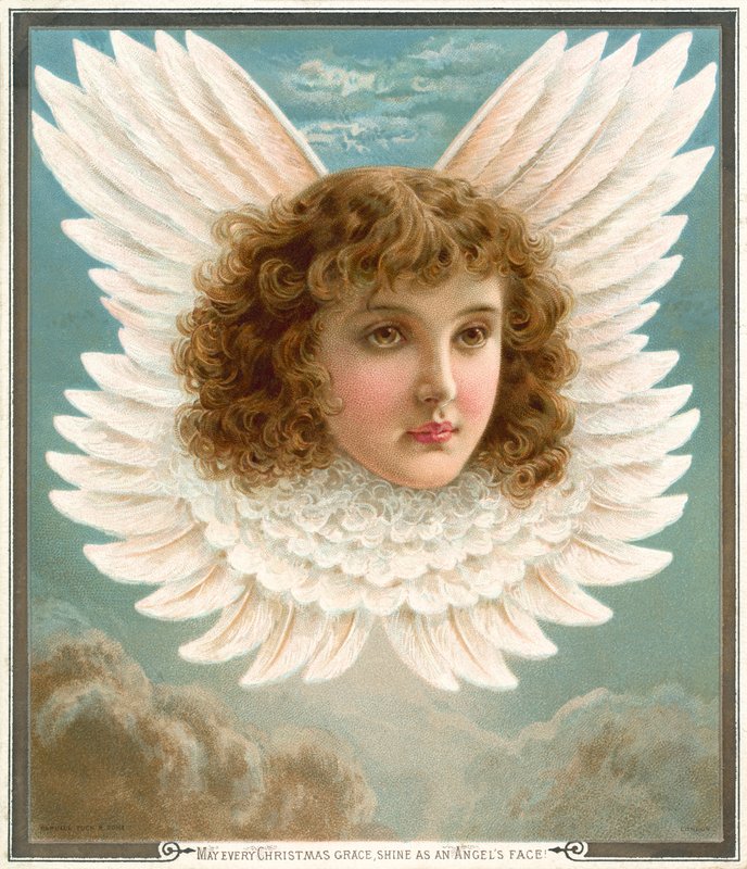 Testa di Angelo tra le Ali da Rebecca Coleman