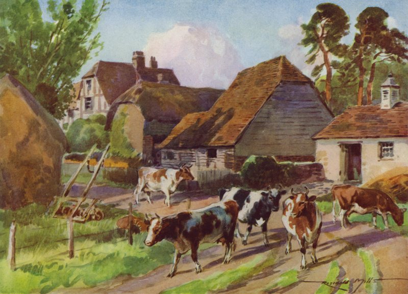 Illustrazione per La Mia Fattoria da Reginald Mills