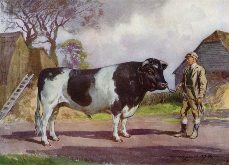 Illustrazione per La mia fattoria da Reginald Mills