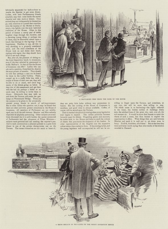 Signora visitatrice alla Camera dei Comuni (litografia) da Reginald Thomas Cleaver