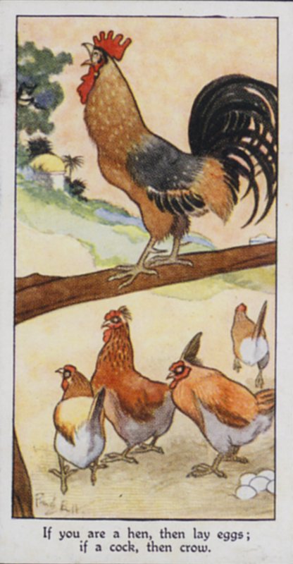 Proverbio orientale: Se sei una gallina, allora fai le uova; se sei un gallo, allora canta (litografia a colori) da René Bull
