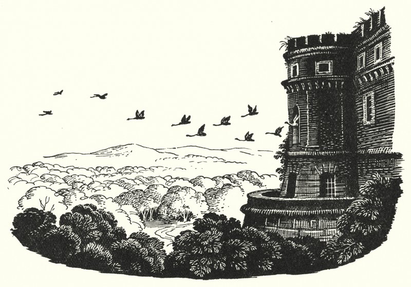 Hans Christian Andersen: I cigni selvatici da Rex (after) Whistler