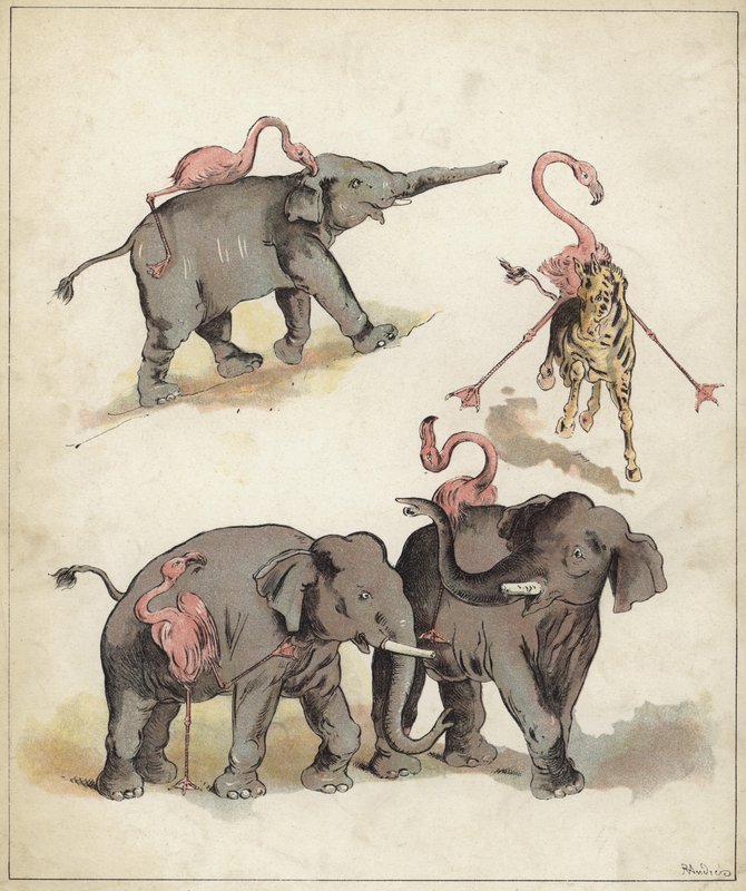 Elefanti e fenicotteri da Richard Andre