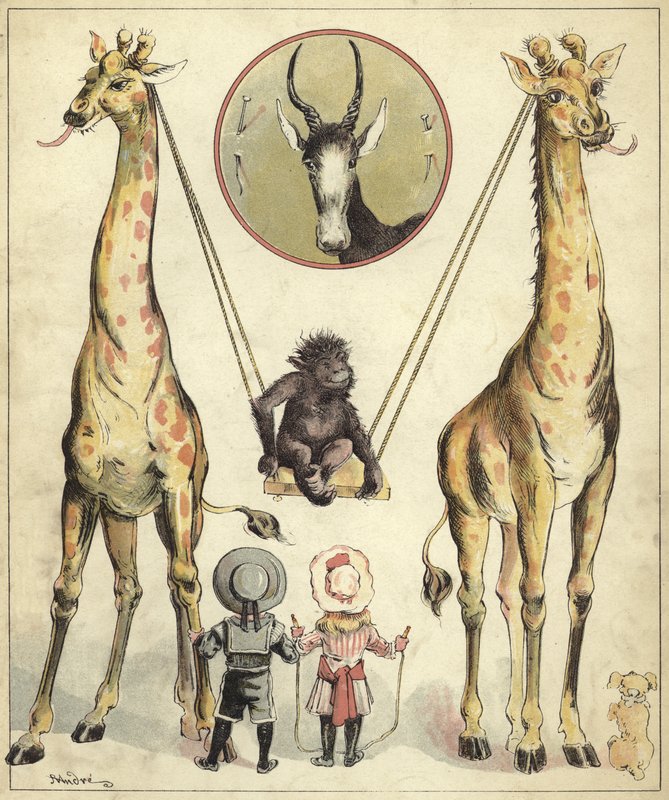 Giraffe che giocano con una scimmia da Richard Andre