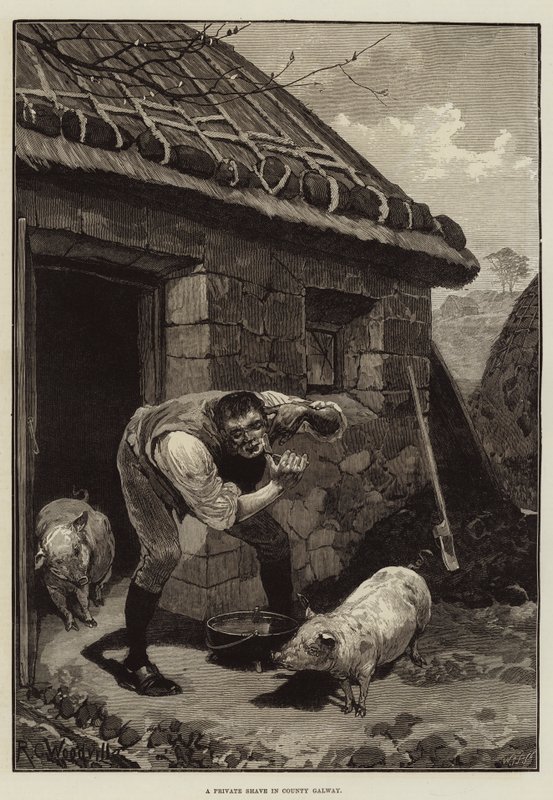 Una rasatura privata nella contea di Galway da Richard Caton Woodville junior