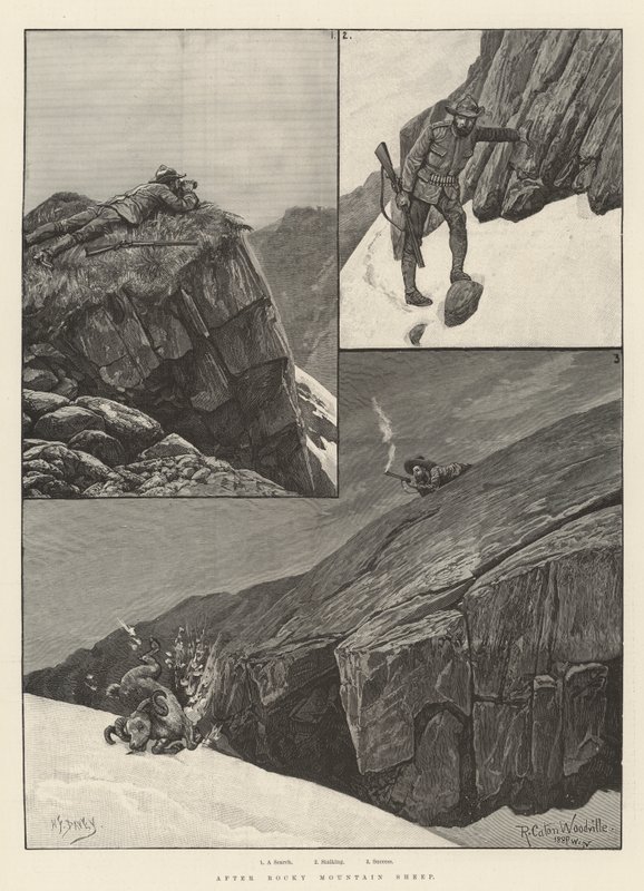 Dopo la pecora delle Montagne Rocciose da Richard Caton Woodville junior