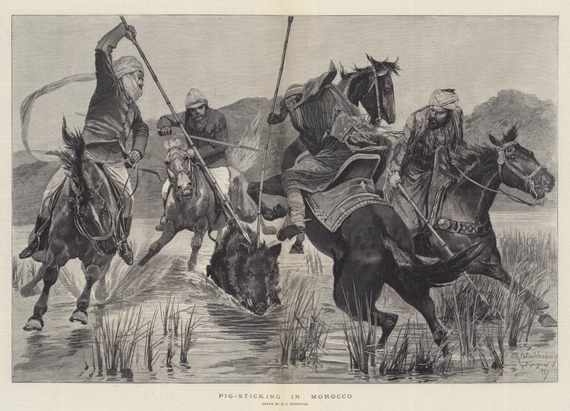 Caccia al cinghiale in Marocco da Richard Caton Woodville junior