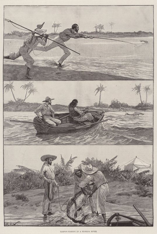 Pesca al tarpone in un fiume della Florida da Richard Caton Woodville junior
