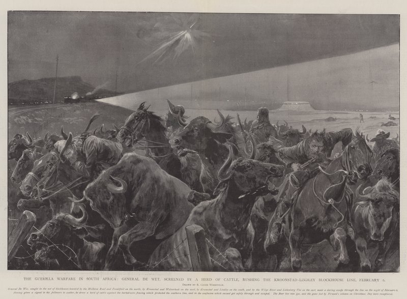 La guerriglia in Sudafrica, il generale De Wet, schermato da una mandria di bovini, assalta la linea del blockhouse Kroonstad-Lindley, 6 febbraio da Richard Caton Woodville junior